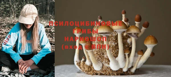 гидропоника Новокубанск